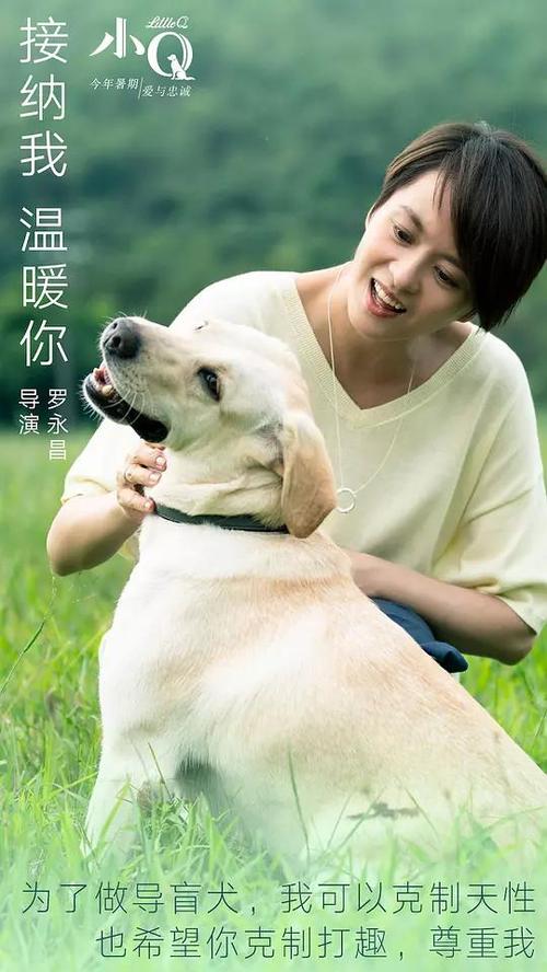 巴勒莫美术学院文凭购买